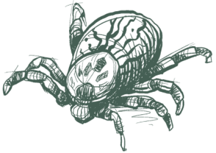 Image gallery marquee