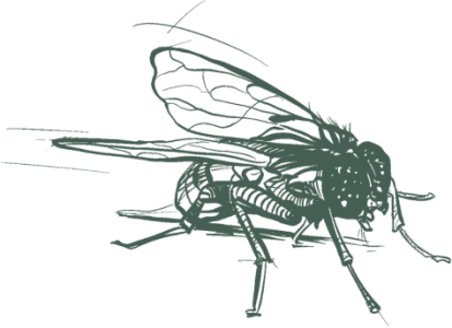 Image gallery marquee