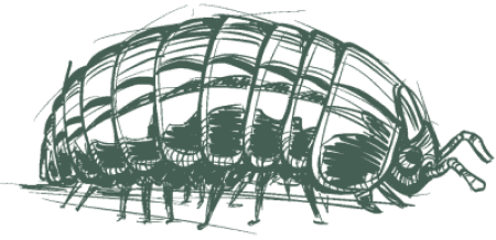 Image gallery marquee